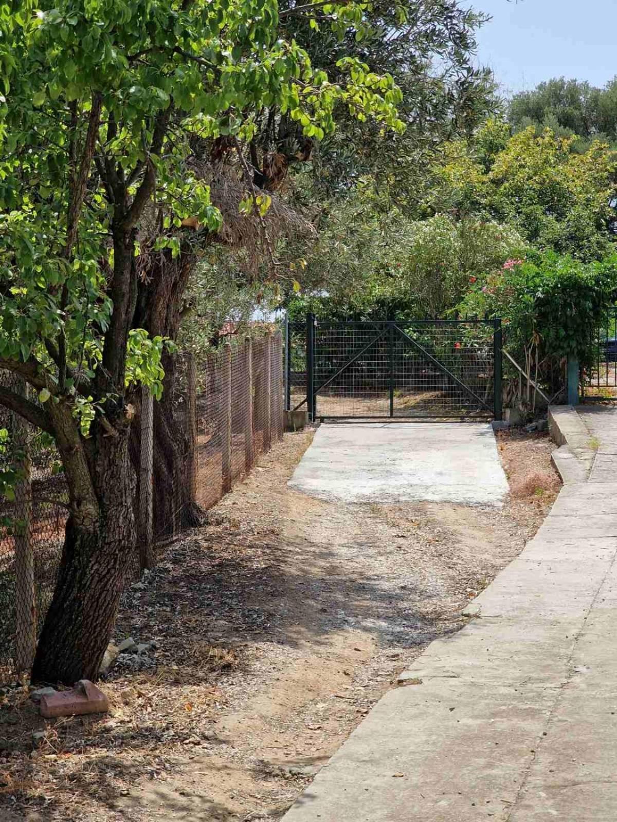 Stella'S Garden Βίλα PalaiónTsiflíkion Εξωτερικό φωτογραφία